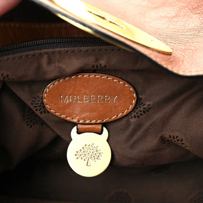 Mulberry Soft Buffalo Medium Alexa Oak 13 of 13