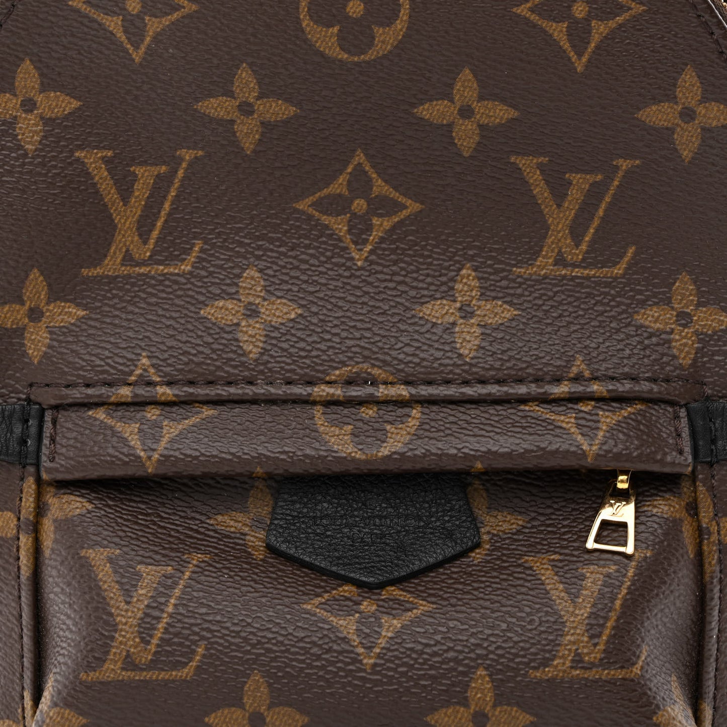 Monogram Palm Springs Backpack Mini