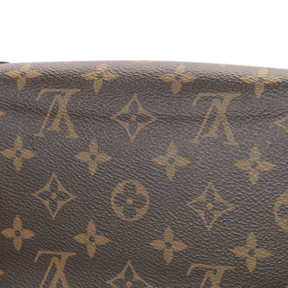 Louis Vuitton Monogram Valentine Dog Pochette Felicie Chain Wallet 14 of 16