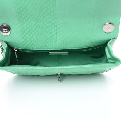 Chanel Elaphe Snakeskin Medium Easy Carry Flap Green 5 of 12