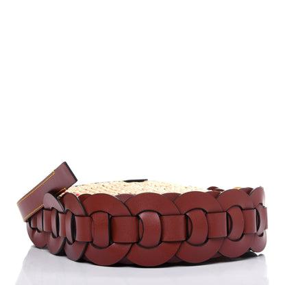 Chloe Calfskin Raffia Embroidered Small Darryl Crossbody Brown 4 of 11