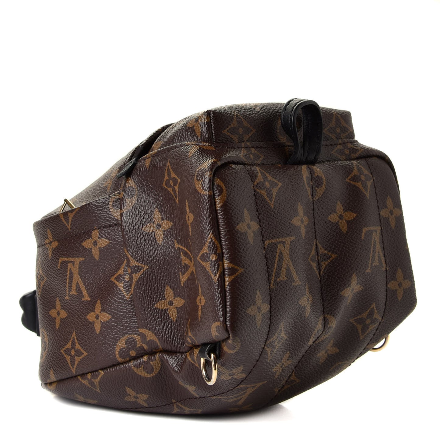Monogram Palm Springs Backpack Mini