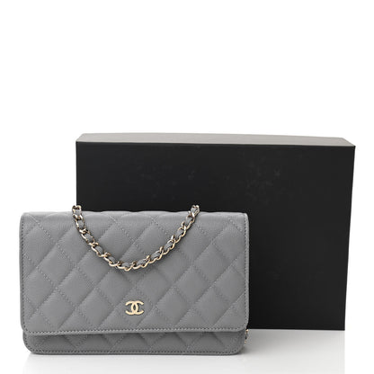 Chanel Caviar Quilted Wallet On Chain WOC Grey 12 of 12