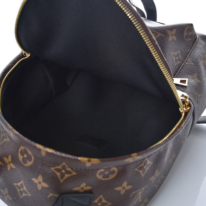 Louis Vuitton Monogram Palm Springs Backpack PM 5 of 6