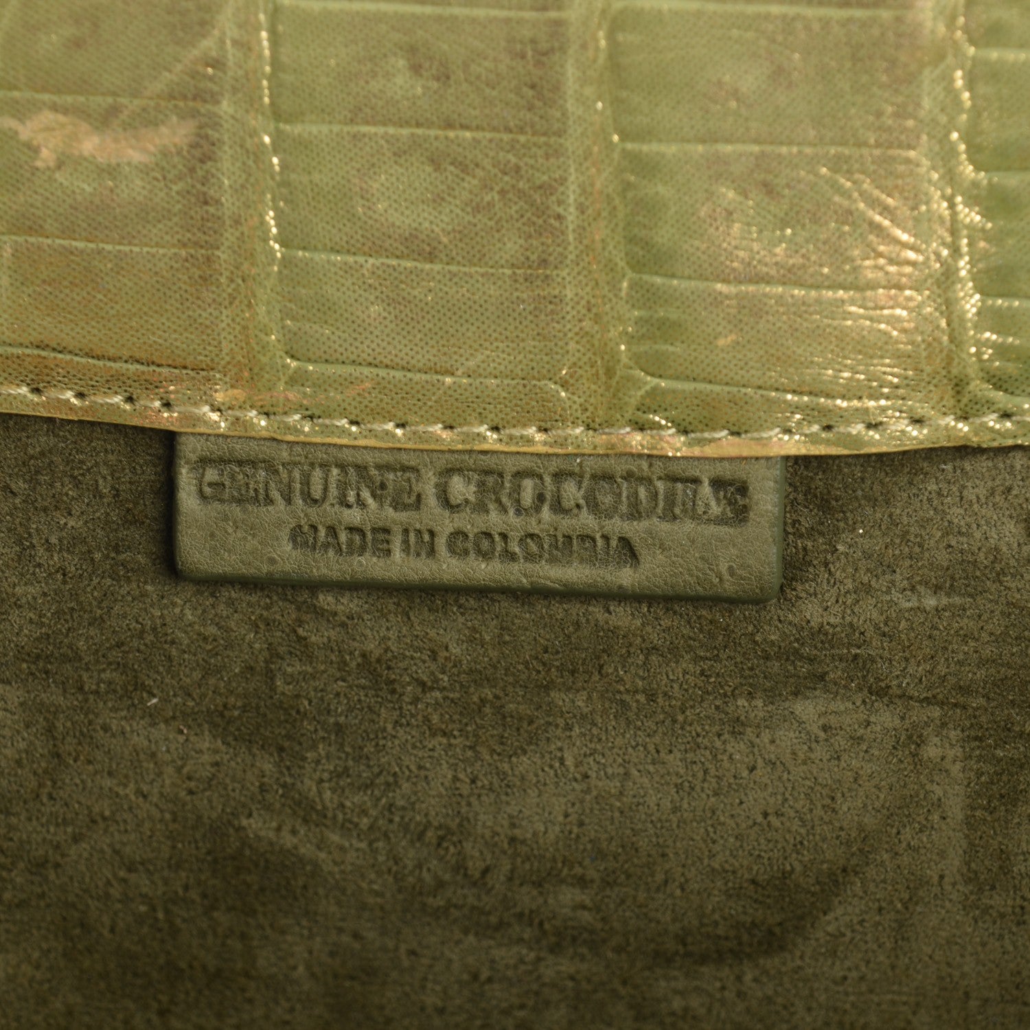 Nancy Gonzalez Metallic Crocodile Trapezoid Clutch Green 5 of 7