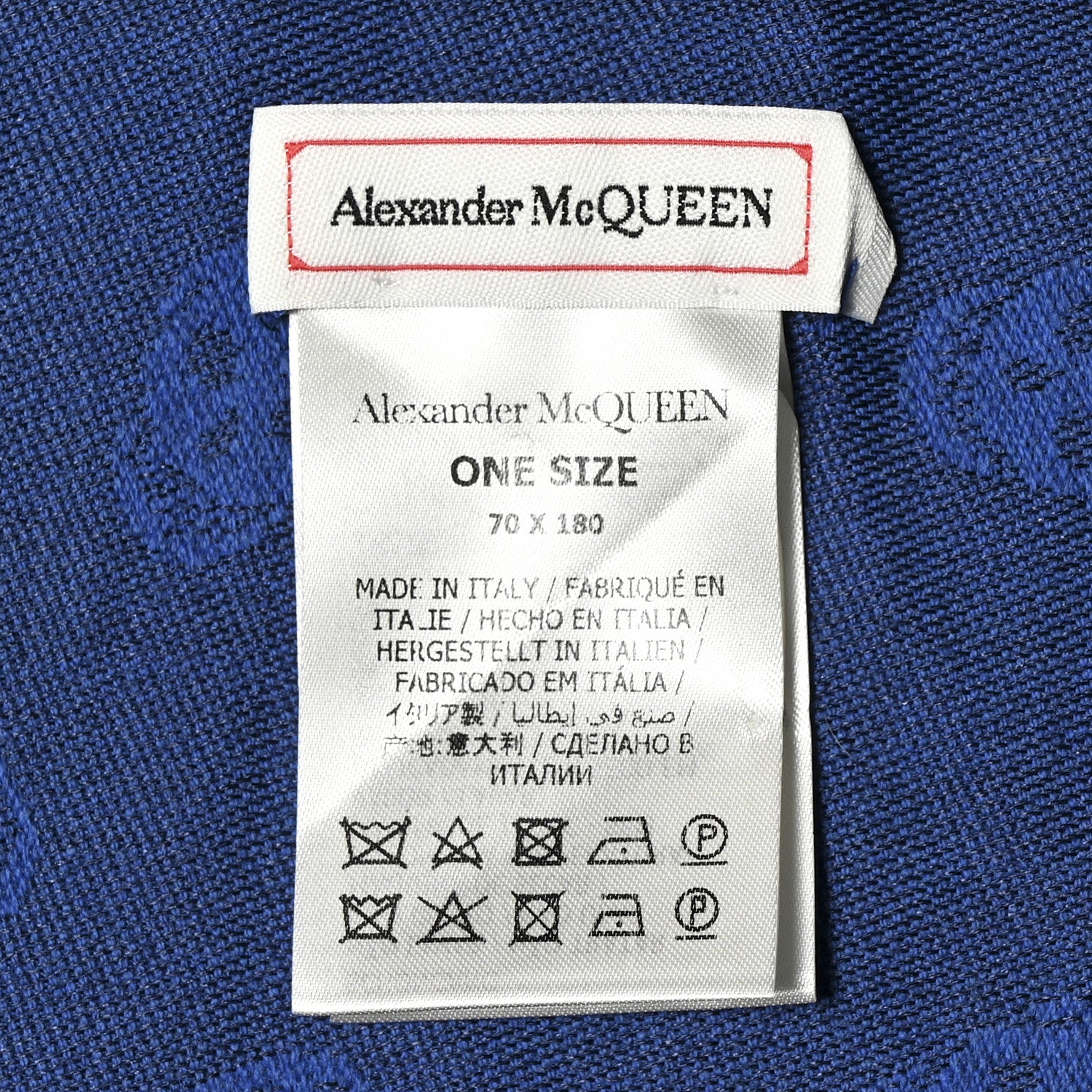 Alexander McQueen Wool Silk Skull Scarf Black Blue 1759161