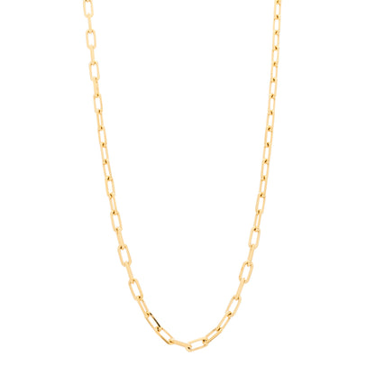 Cartier 18K Yellow Gold SM Santos De Cartier Link Necklace 1 of 6
