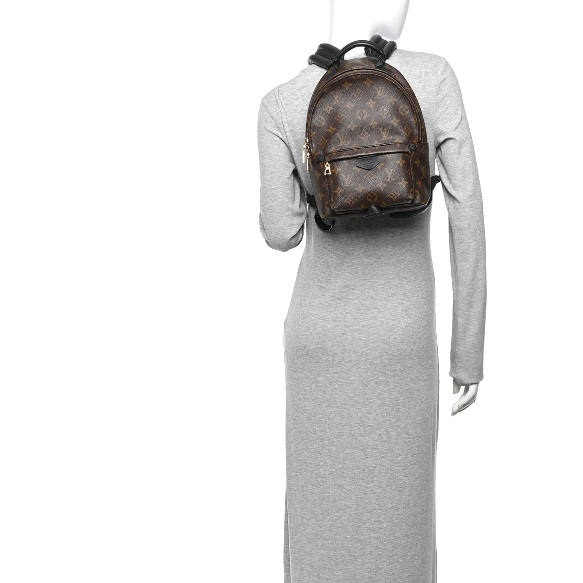 Louis Vuitton Monogram Palm Springs Backpack PM 2 of 10