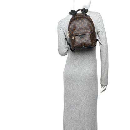 Louis Vuitton Monogram Palm Springs Backpack PM 2 of 10