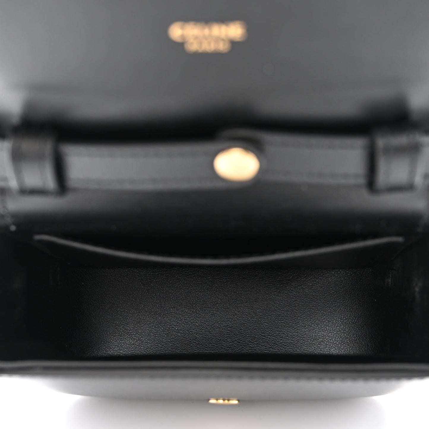 Shiny Calfskin Mini Claude Black
