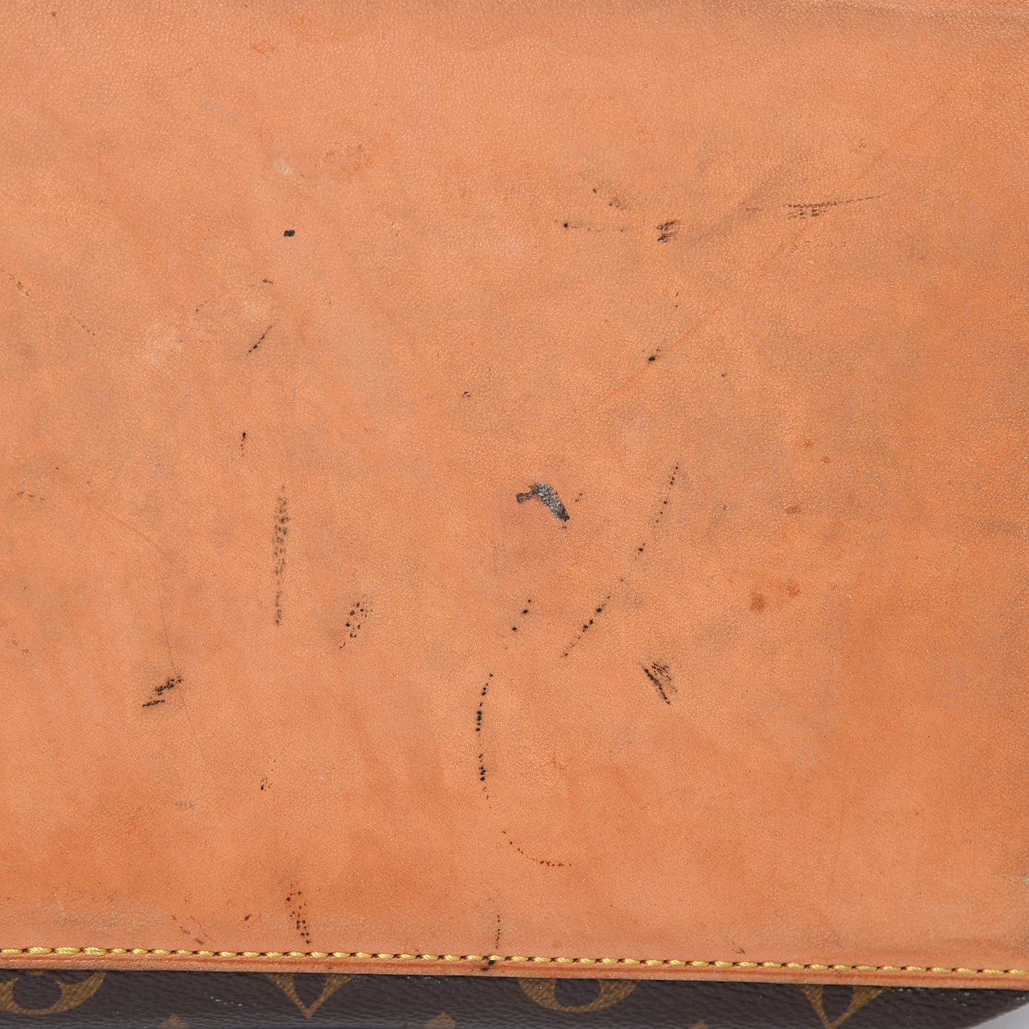 Monogram Cabas Mezzo
