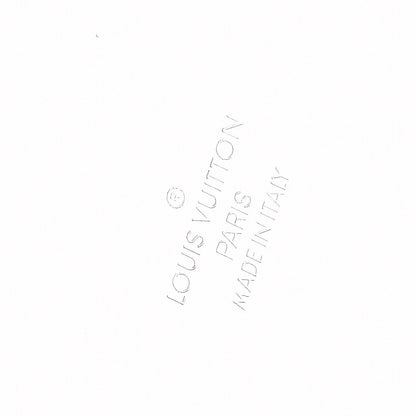 Louis Vuitton Transparent Plexiglass Box Scott 6 of 6