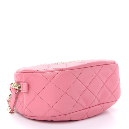 Chanel Lambskin Quilted Studded Camera Case Pink 4 of 9