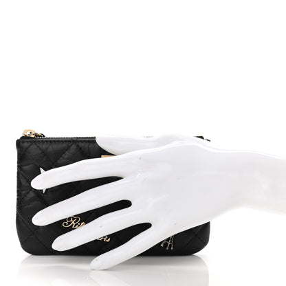 Chanel Aged Calfskin Quilted Small Lucky Charms Cosmetic Case Black 2 of 7