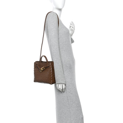 Bottega Veneta Nappa Intrecciato Small Andiamo Shoulder Bag Cognac 2 of 12