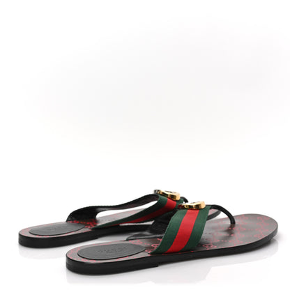 Gucci Nylon Calfskin Web GG Monogram Womens Thong Sandals 41 Green Red Cocoa 4 of 8