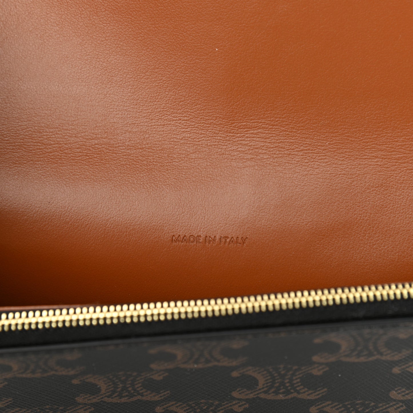 Triomphe Canvas Lambskin Wallet On Strap Tan