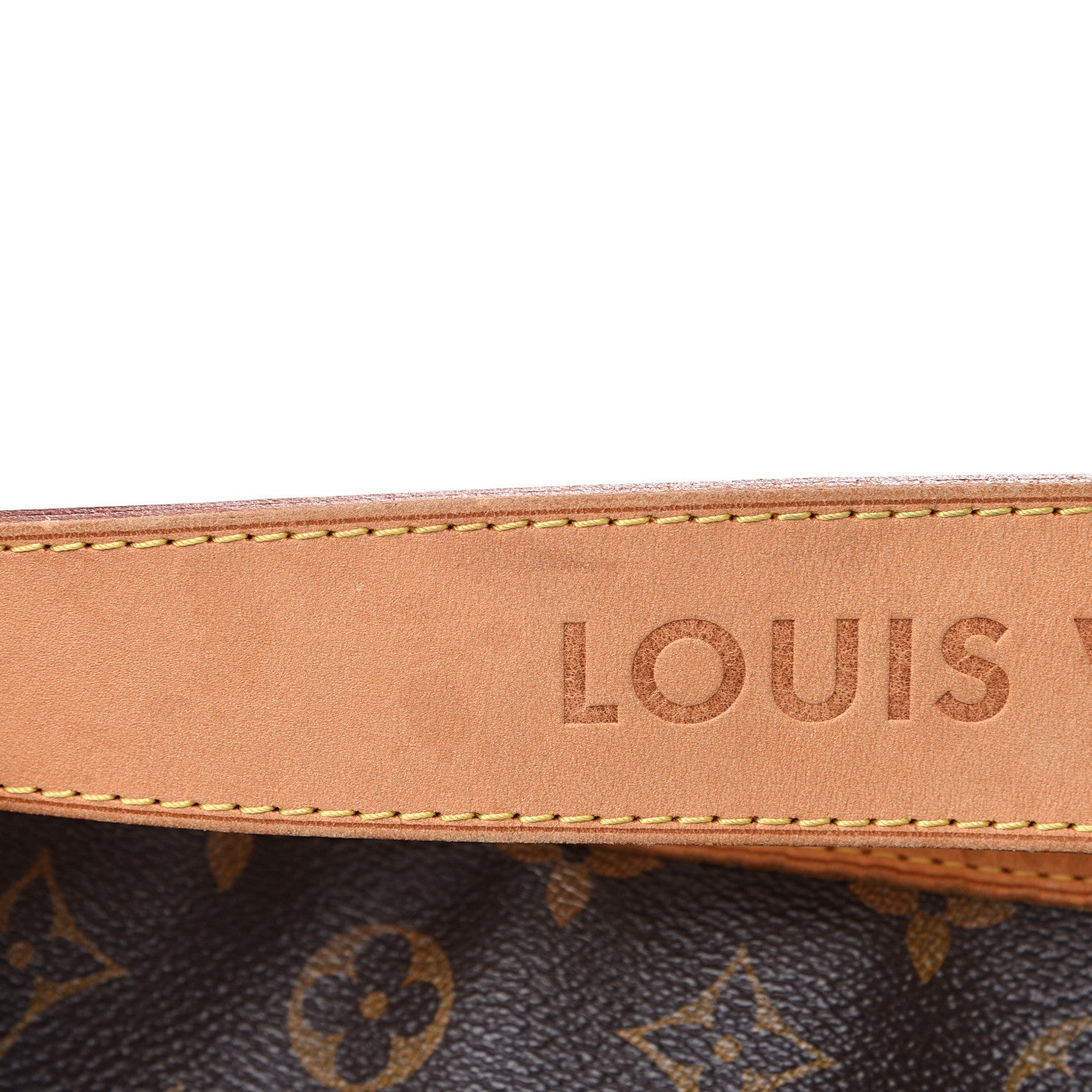 Louis Vuitton Monogram Delightful PM 15 of 17