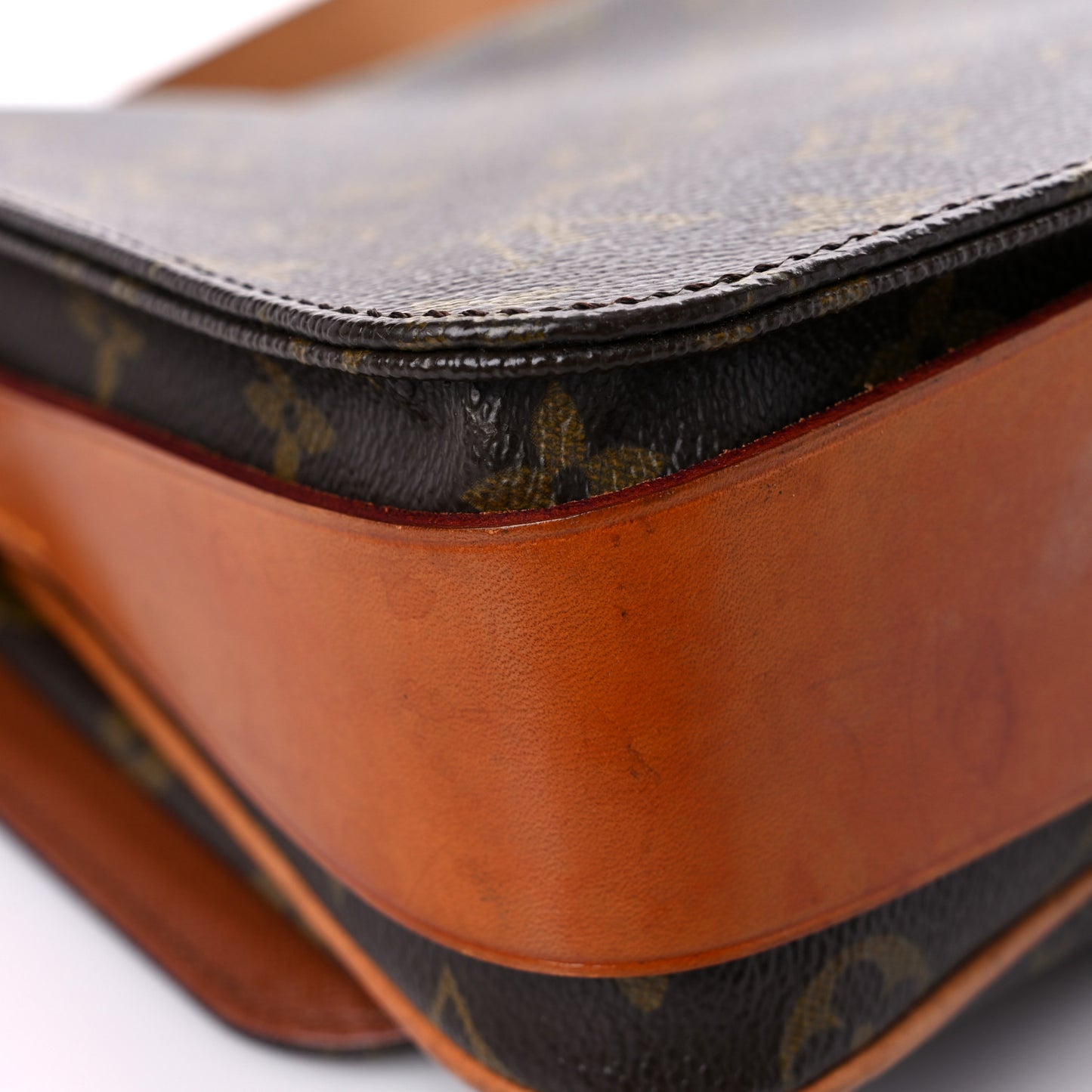 Monogram Cartouchiere 22