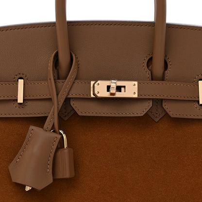 Hermes Veau Doblis Swift Grizzly Birkin 25 Alezan 16 of 21
