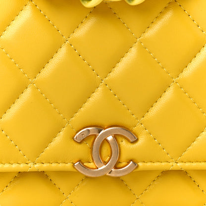Chanel Lambskin Resin Quilted Wallet On Chain WOC Yellow 11 of 12