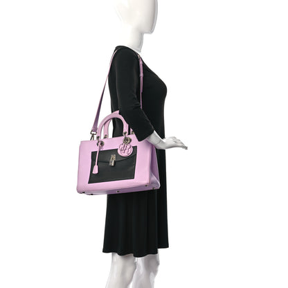 Christian Dior Lambskin Large Lady Dior Pockets Pink 2 of 22
