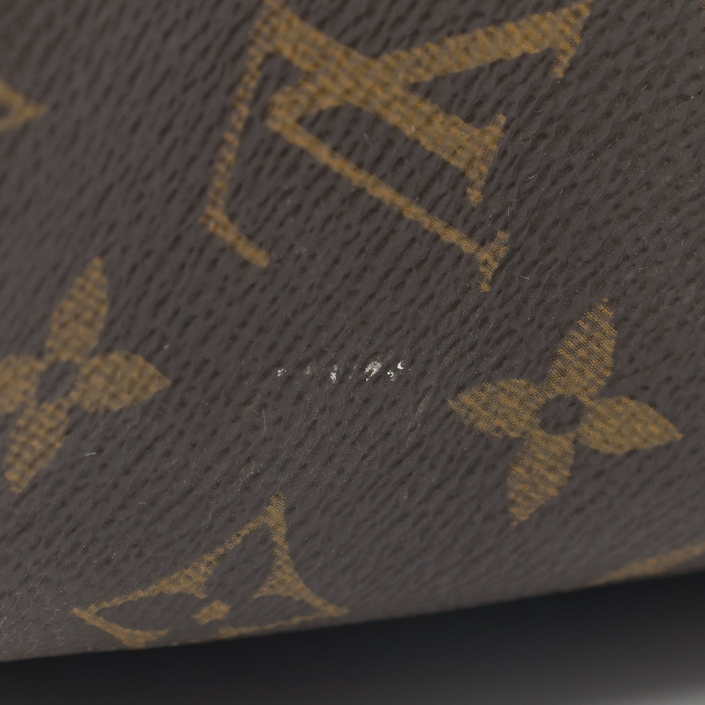 Monogram Palm Beach Neverfull GM Green