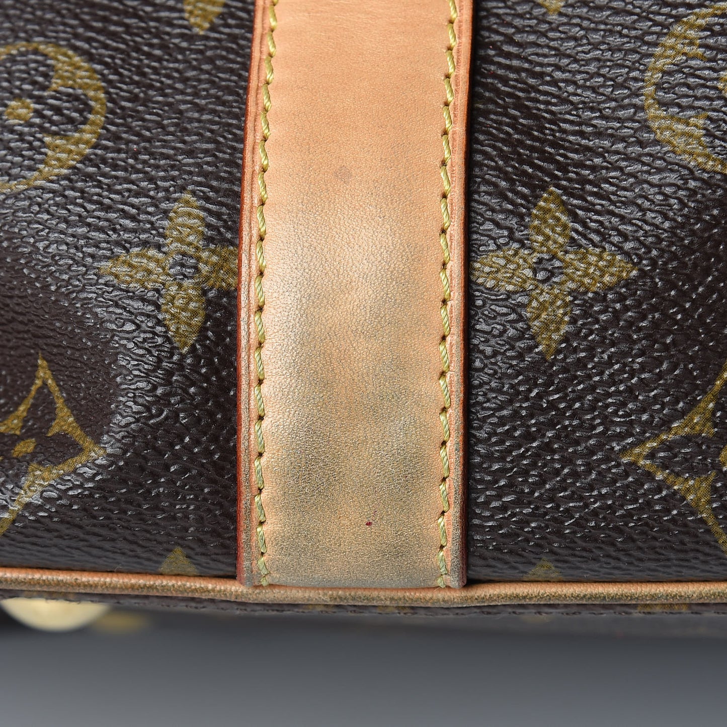 Monogram Salina MM Rubis