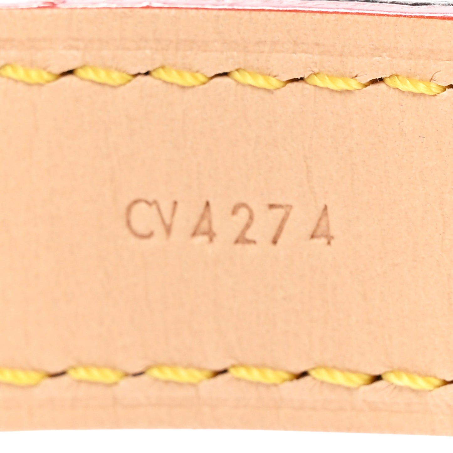 Monogram Dog Collar PM