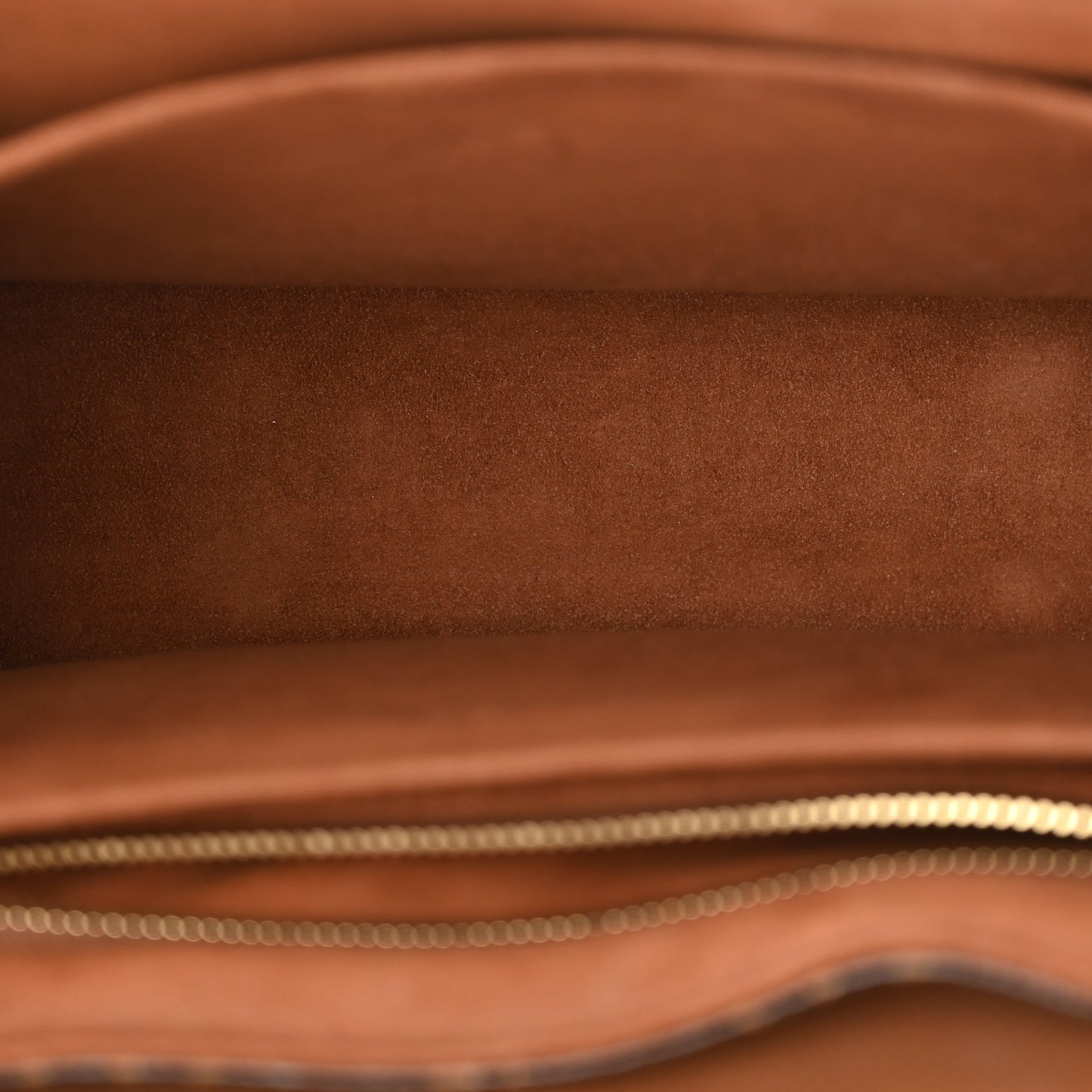 Monogram Eden MM Camel