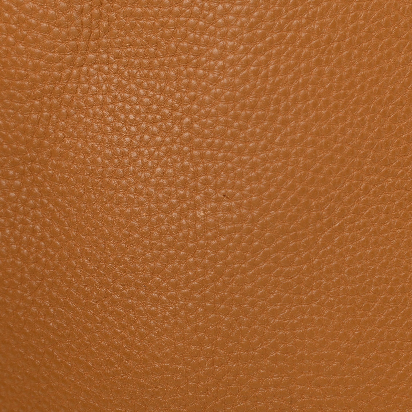 Vitello Daino Side Zip Tote Cannella