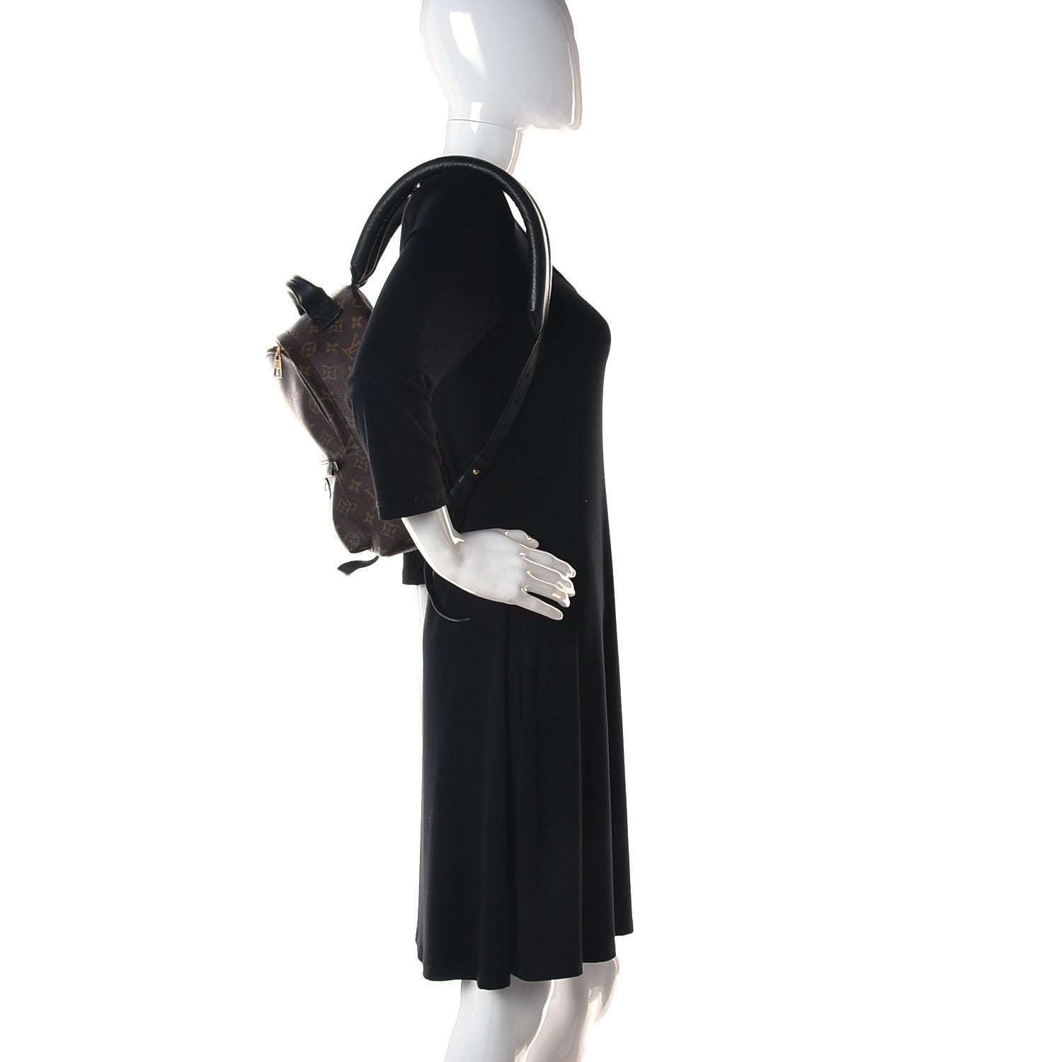 Louis Vuitton Monogram Palm Springs Backpack PM 2 of 9