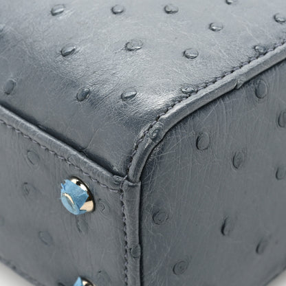 Christian Dior Ostrich Mini Lady Dior Dark Grey 11 of 12