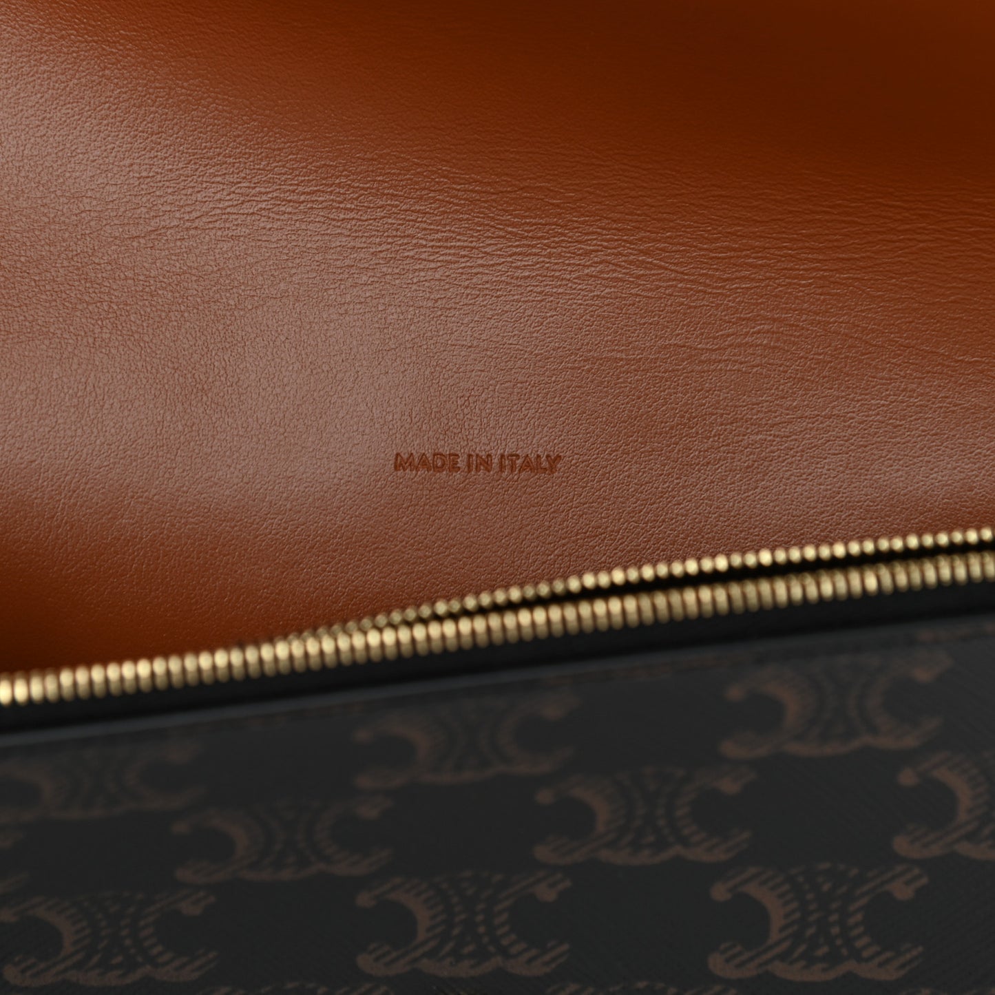 Triomphe Canvas Lambskin Wallet On Strap Tan