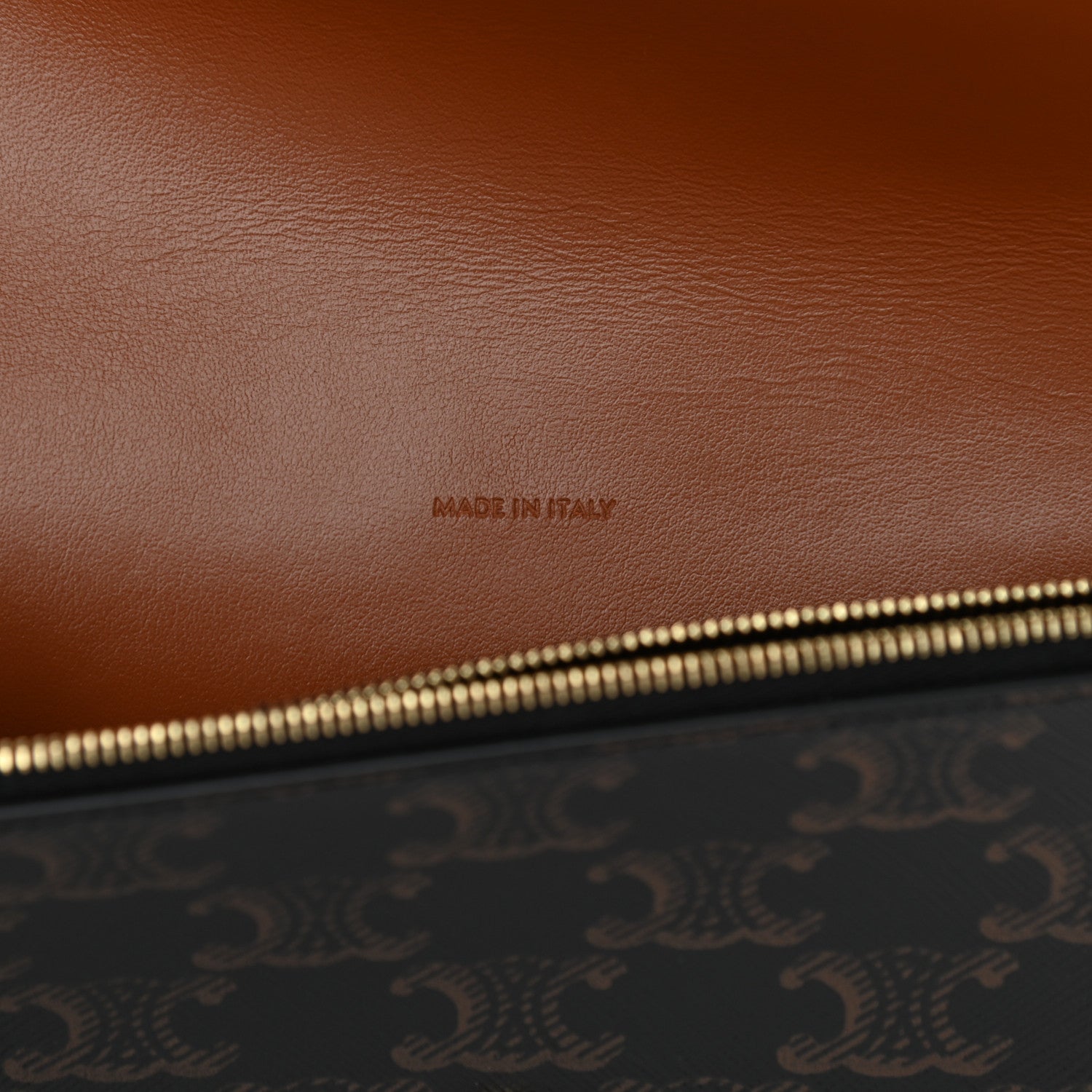 Celine Triomphe Canvas Lambskin Wallet On Strap Tan 7 of 12
