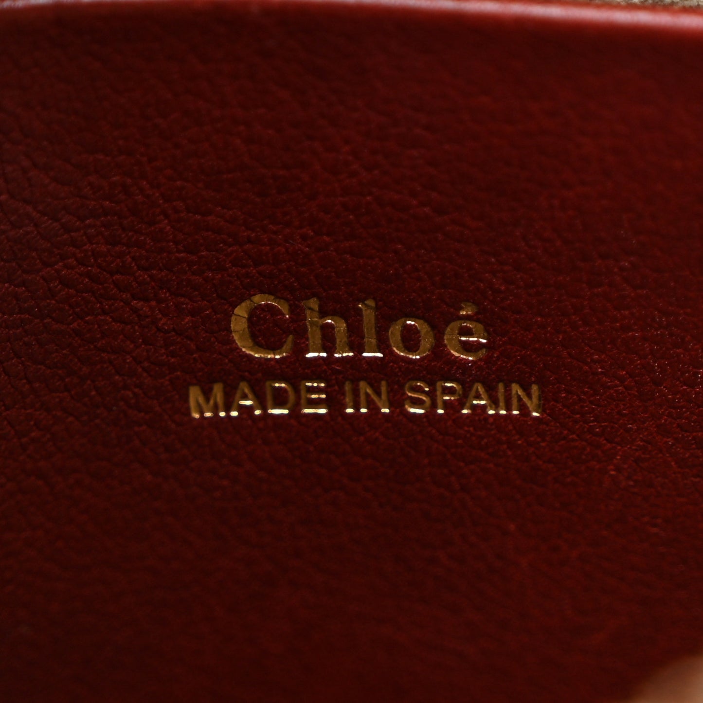 Grained Calfskin Nano Hayley Hobo Sienna Red