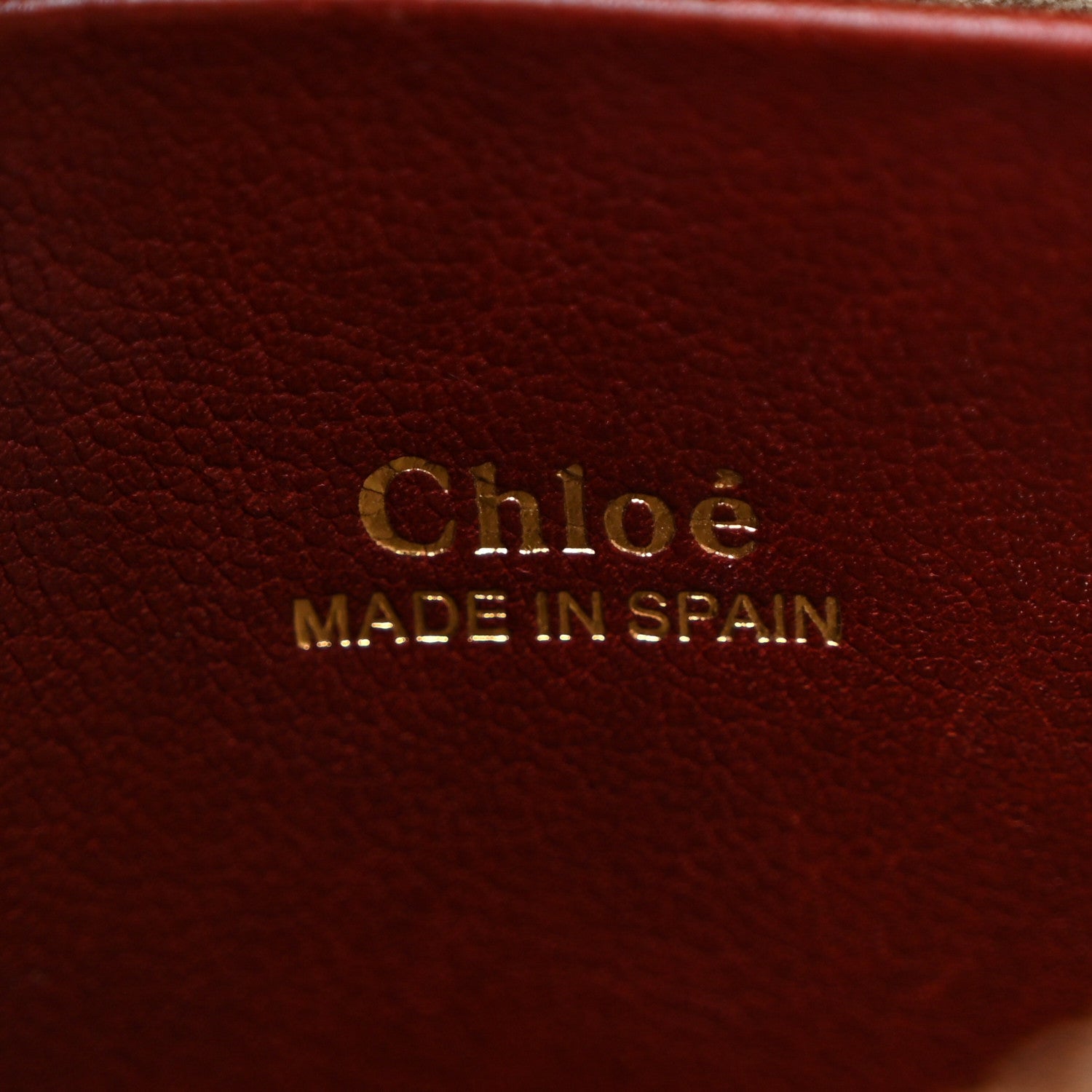 Chloe Grained Calfskin Nano Hayley Hobo Sienna Red 6 of 10