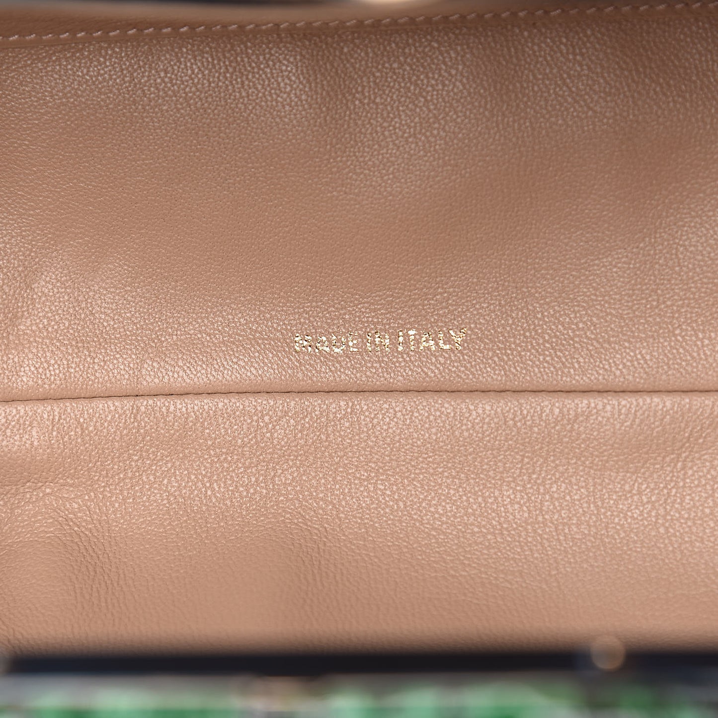 Gloss Elaphe Snakeskin Cara Clutch Kew