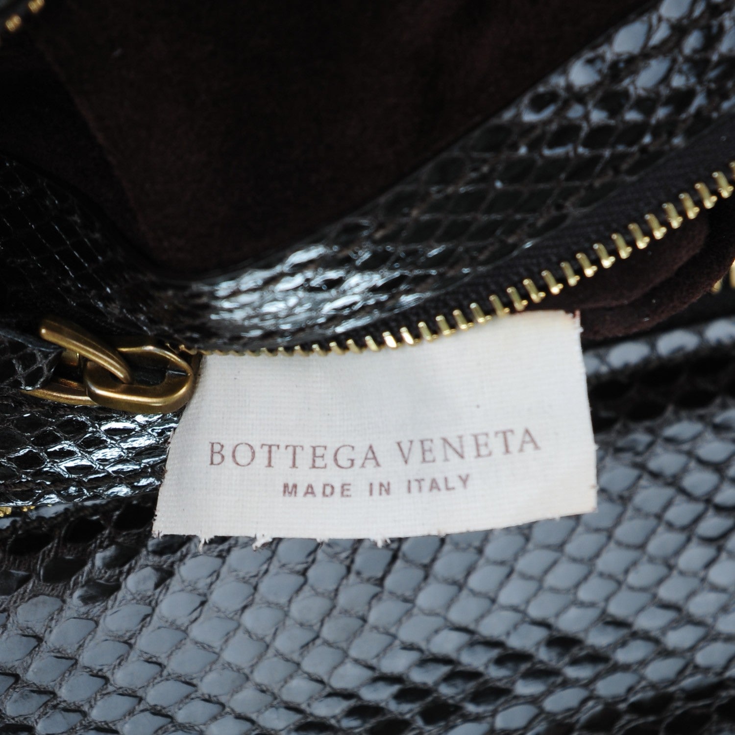 Bottega Veneta Snakeskin Burnished Intrecciato Bisanzio Tote 8 of 9