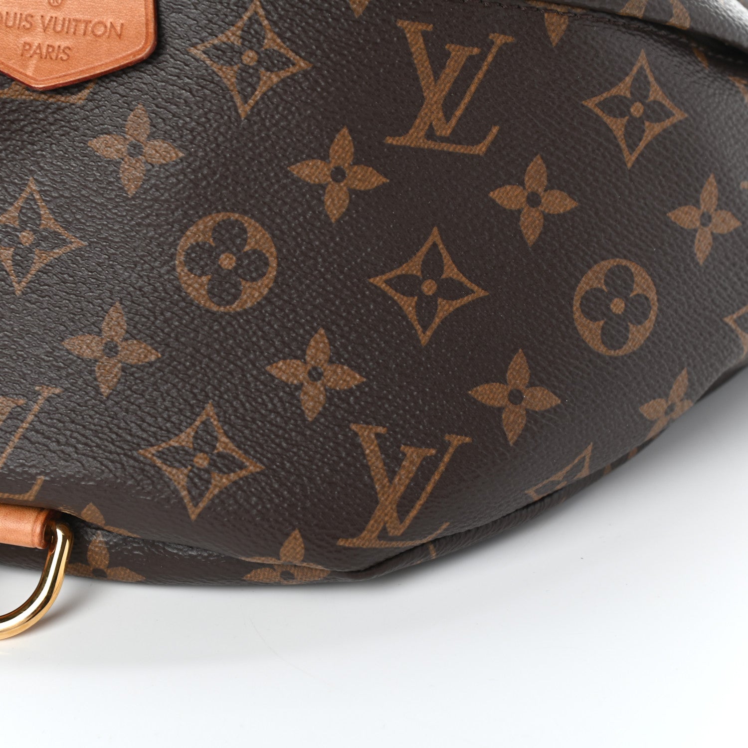 Louis Vuitton Monogram Bumbag 9 of 9
