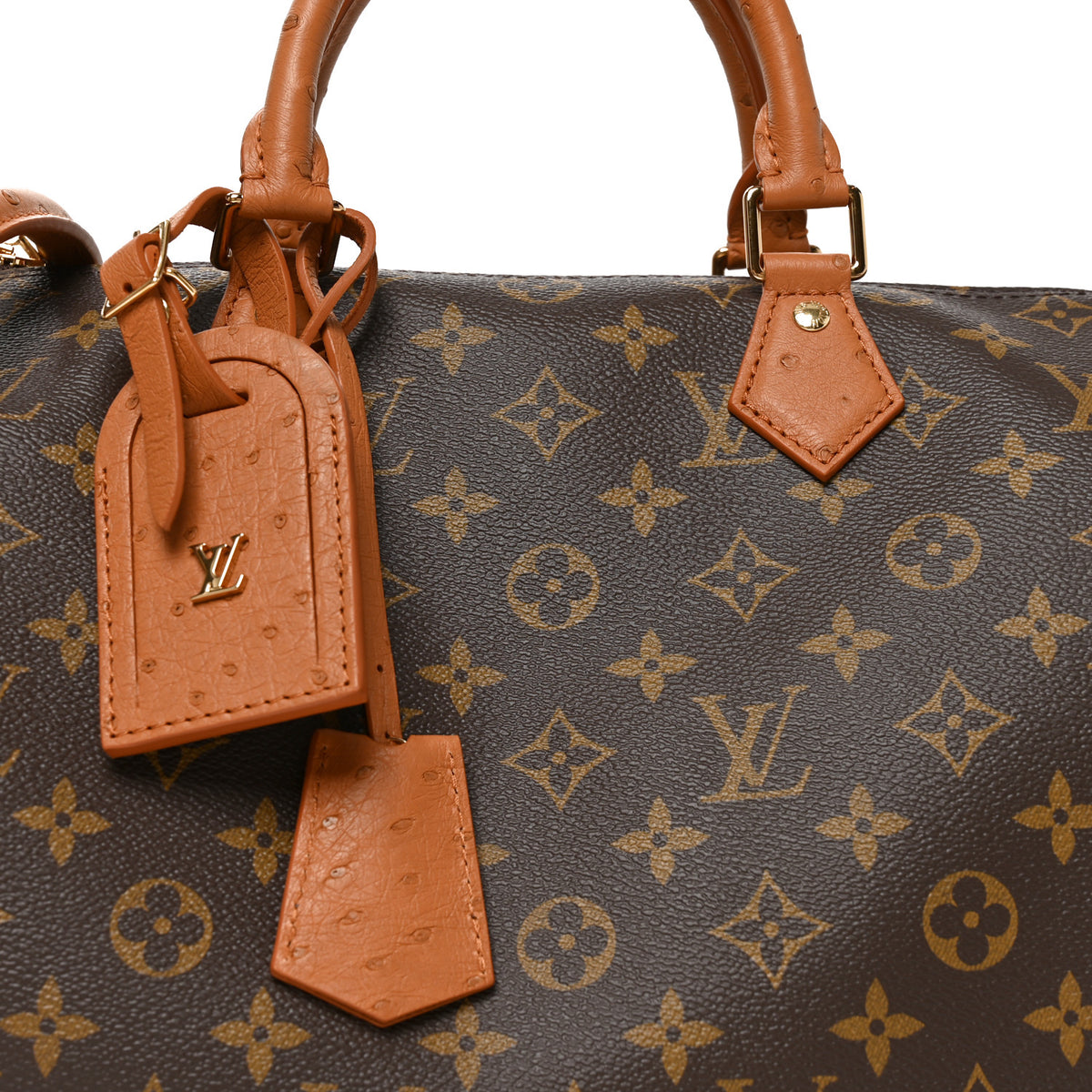 Monogram Speedy Soft 30 Boho