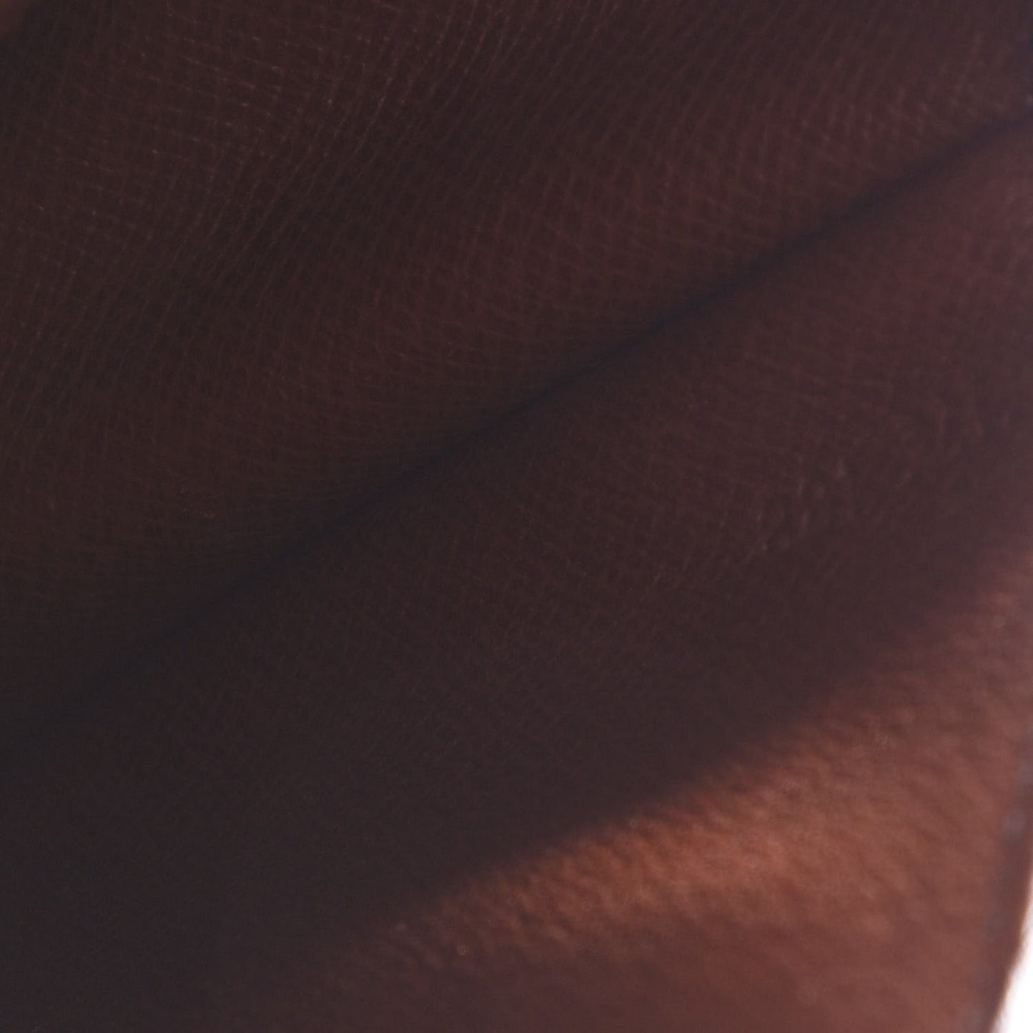 Monogram Saint Cloud PM