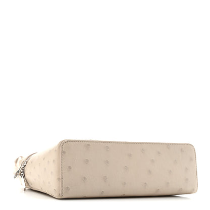 Loro Piana Ostrich L19 Extra Pocket Pouch Light Travertine 4 of 12