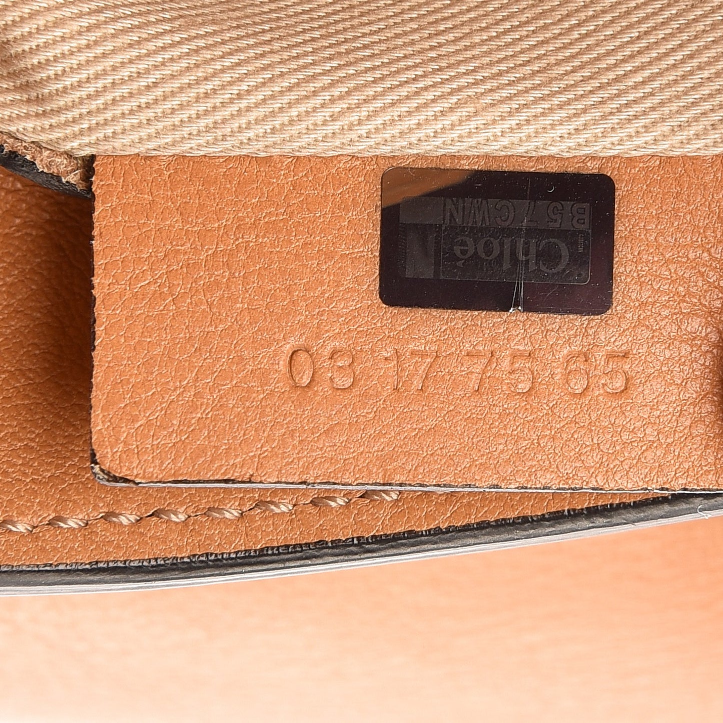 Suede Calfskin Mini Faye Backpack Blushy Pink
