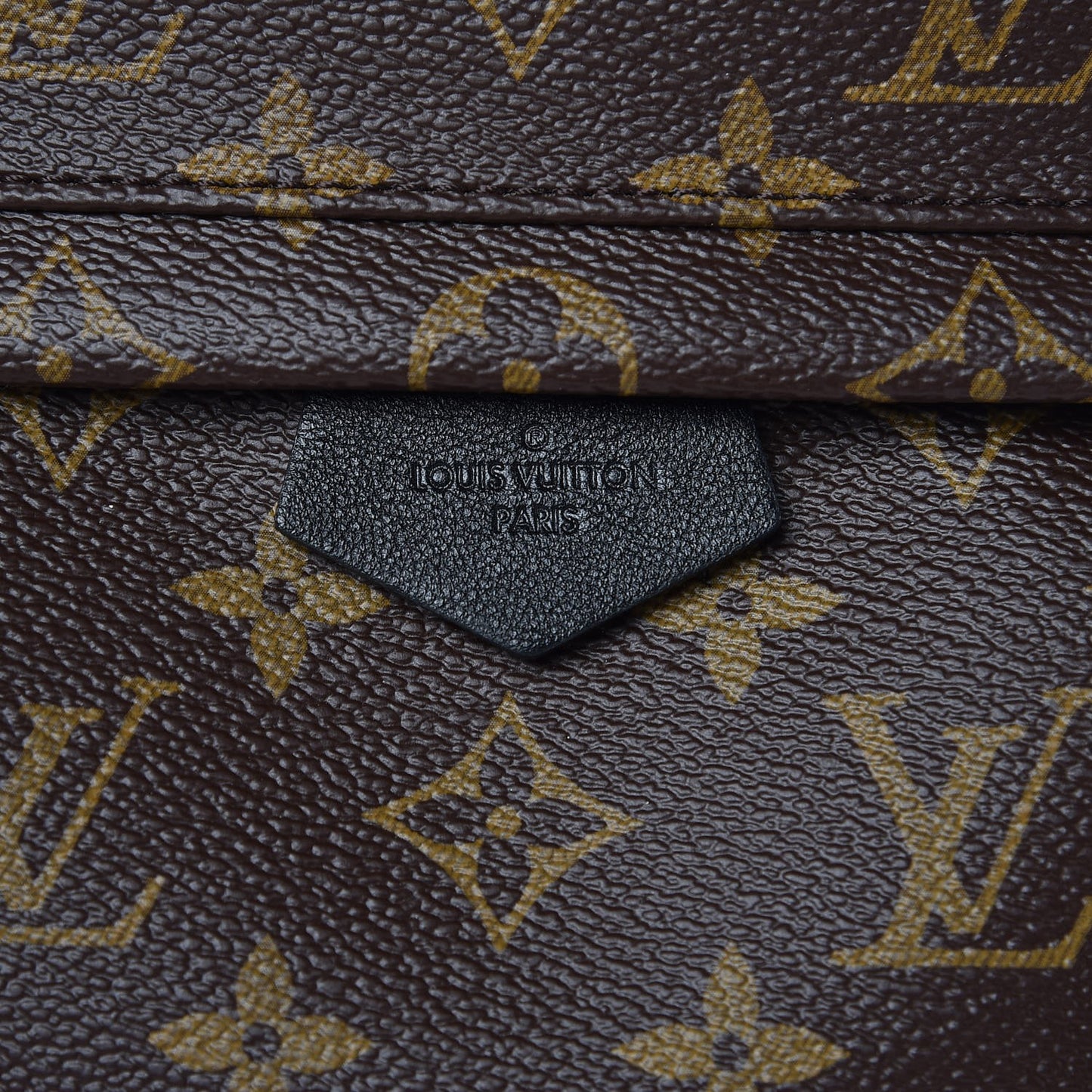 Monogram Palm Springs Backpack PM