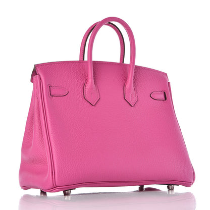 Hermes Togo Birkin 25 Magnolia 3 of 33