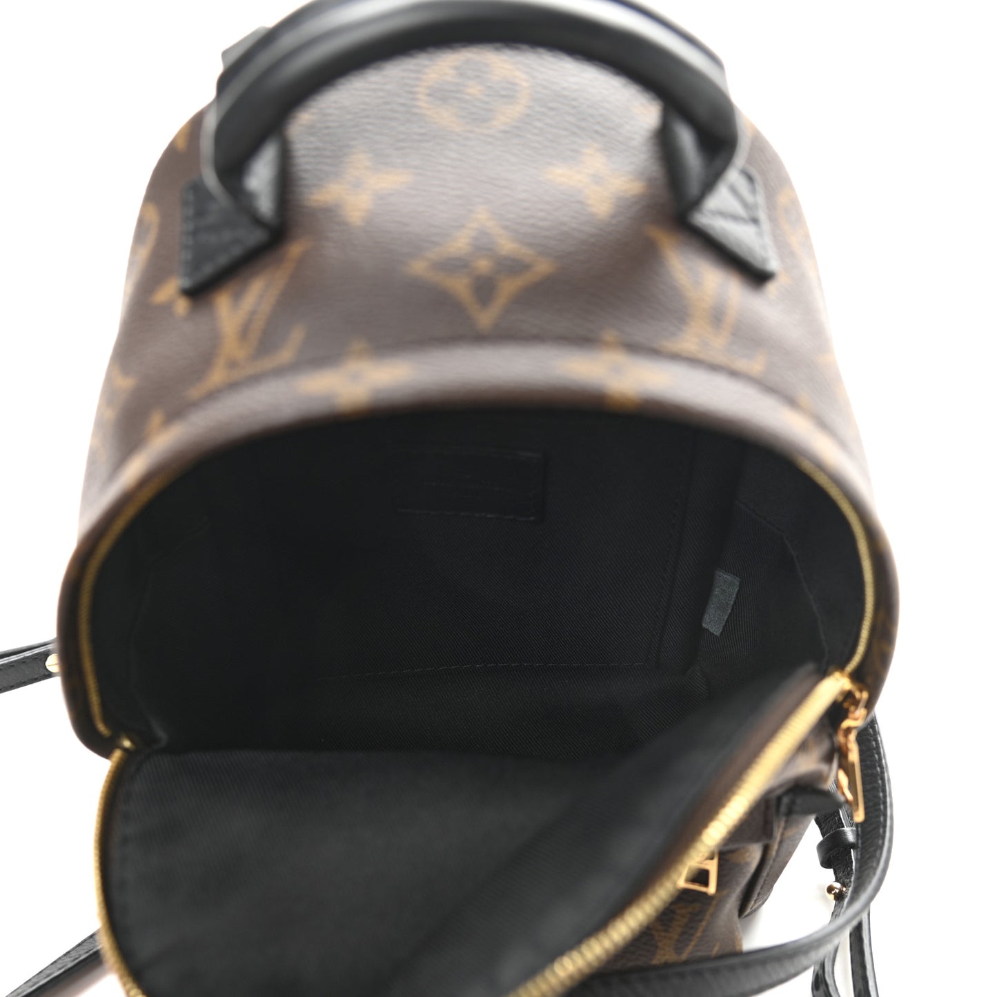 Monogram Palm Springs Backpack Mini