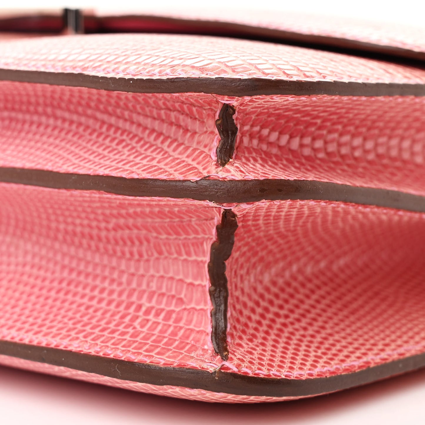 Lizard Constance Elan 25 5P Pink