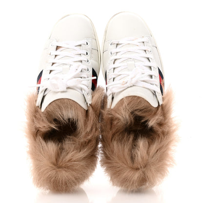 Gucci Calfskin Wool Web Bee Embroidered Womens Ace Sneakers 35.5 White 2 of 12