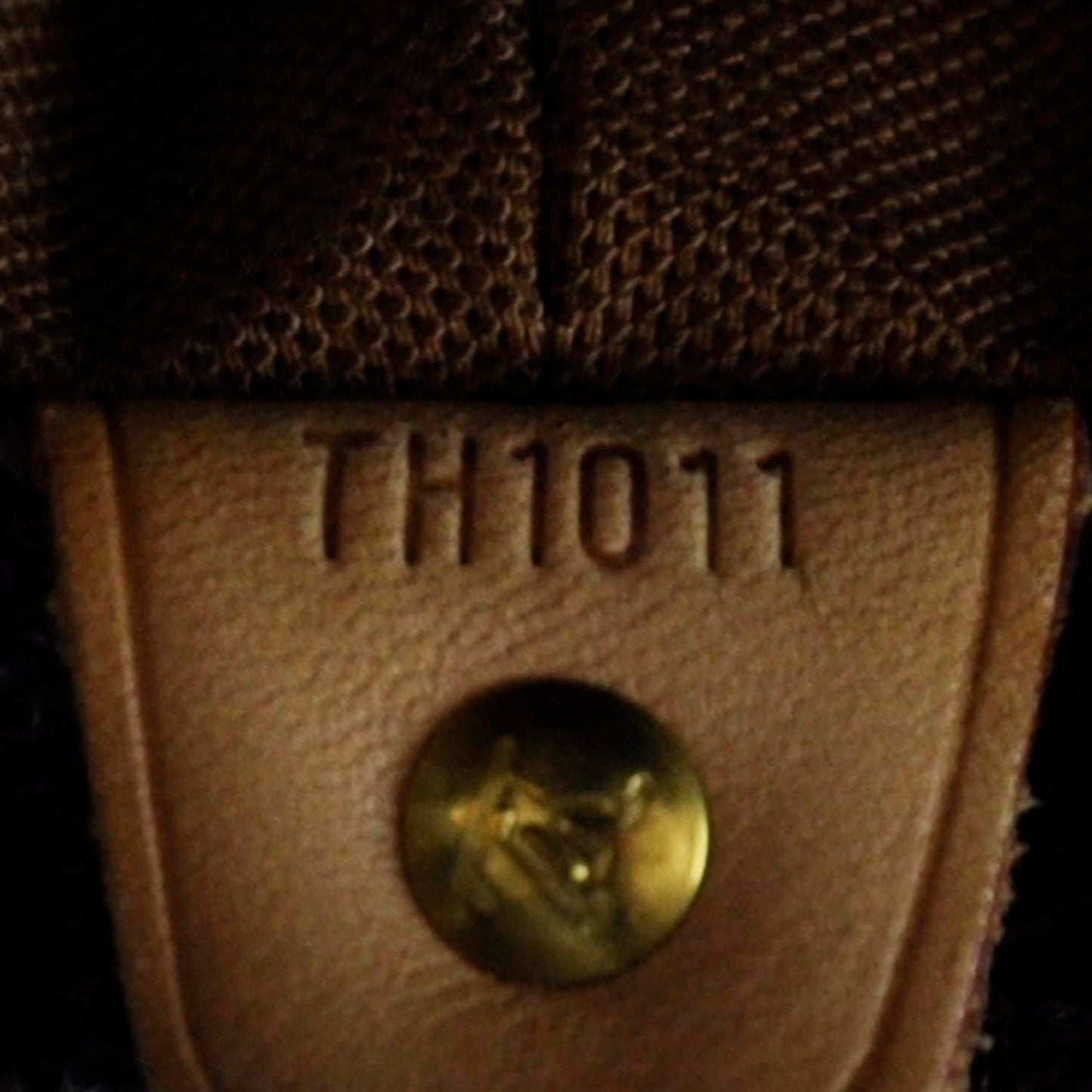 Monogram Cabas Mezzo